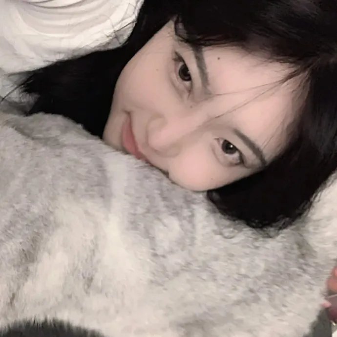 春情妃子封面